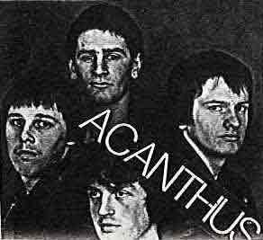 Acanthus